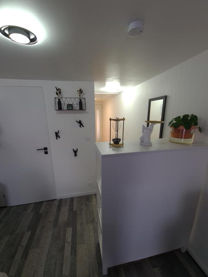 Un Appartement Qui A Du Chien Еперне Екстериор снимка